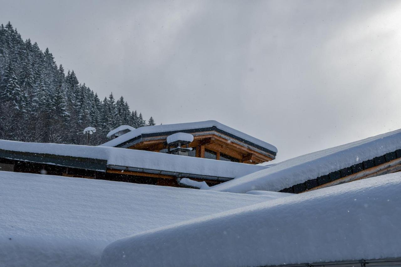 Roof Top Moutain View Direct Access Morzine Avoriaz モントリオン エクステリア 写真