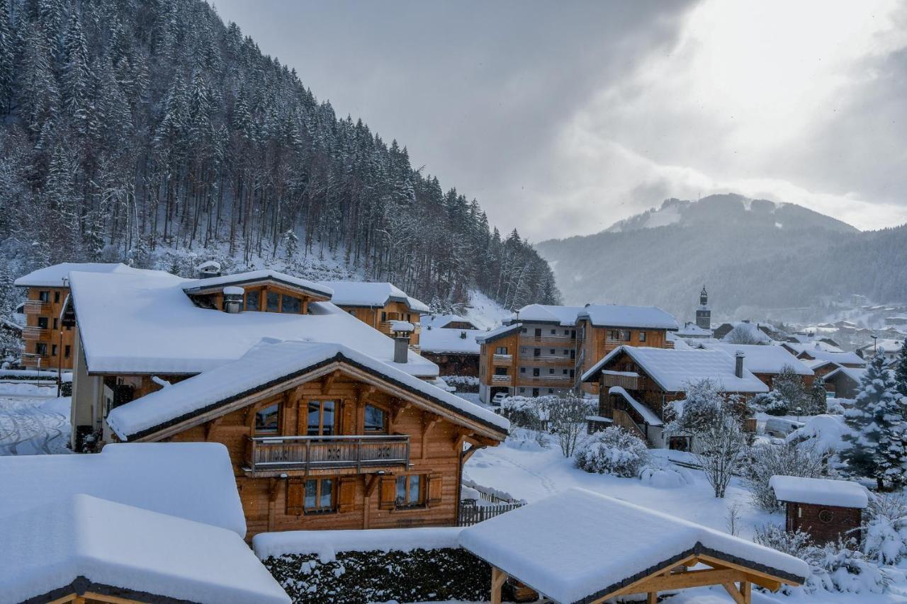 Roof Top Moutain View Direct Access Morzine Avoriaz モントリオン エクステリア 写真